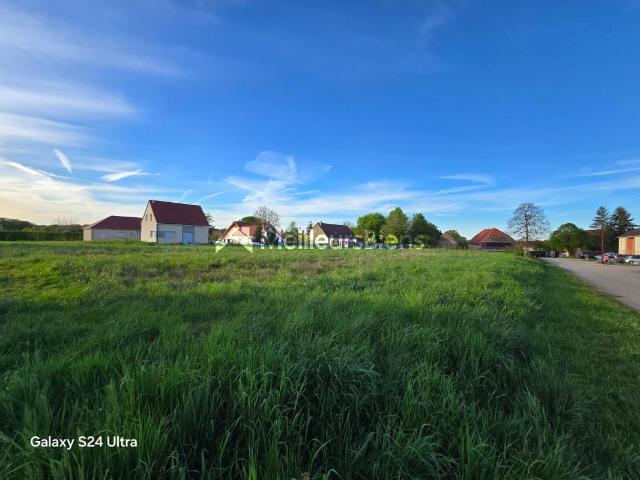 Champagney Vente Terrain 39
