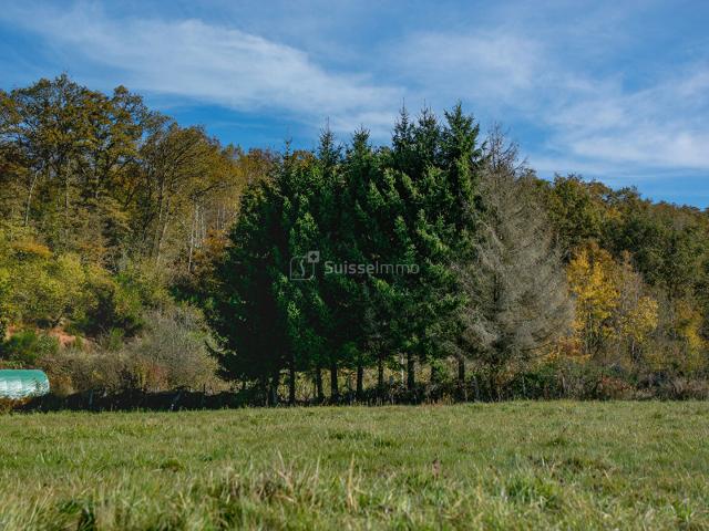 Champagney Vente Terrain 70