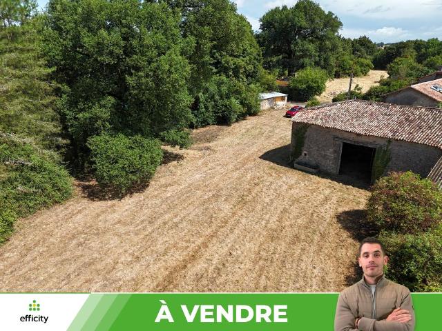 Champagné Saint Hilaire Vente Remise / Grange 86