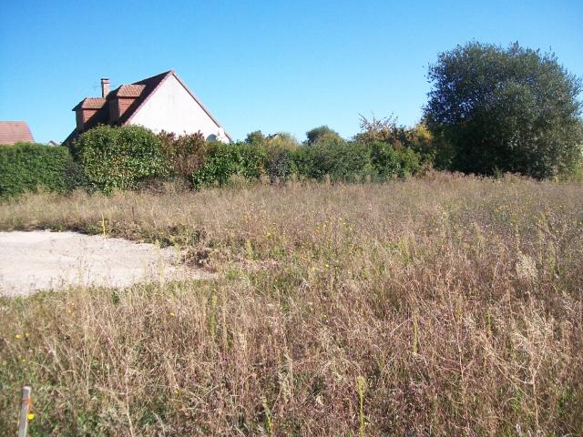 Champagne sur Oise Vente Terrain 95