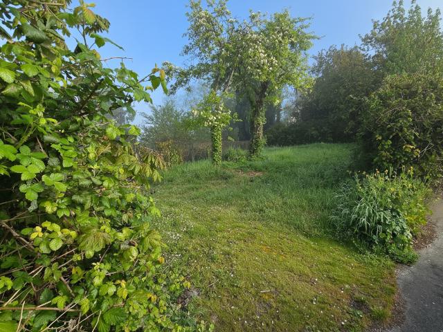Champagne sur Oise Vente Terrain 95