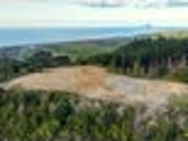Build ready. Views included