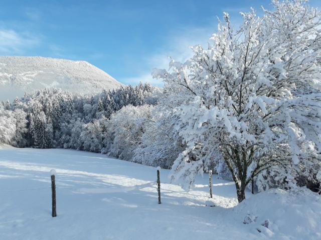 Champfromier Vente Chalet 01