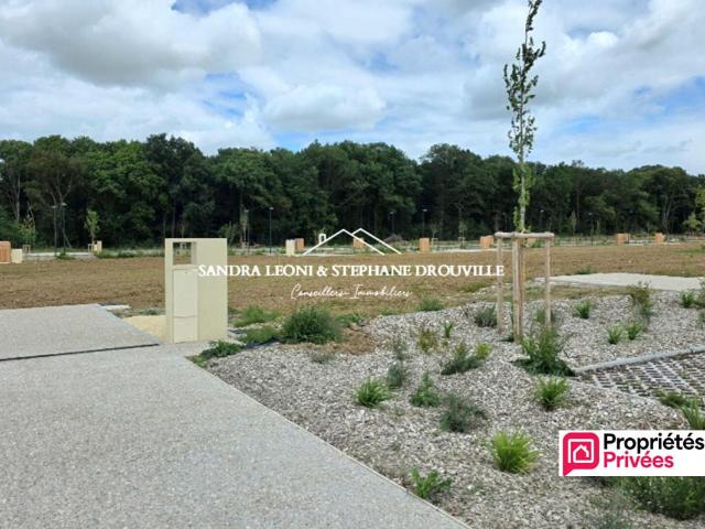 CHAMPHOL TERRAIN VIABILISE A BATIR DE 530 m²
