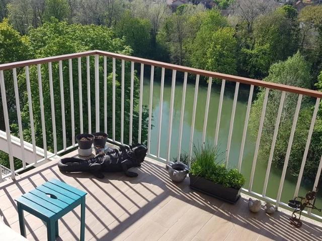 Champigny Saint Maur RER A Appartement 6p Rooftop Terras