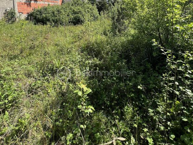 Champigny sur Marne Vente Terrain 94