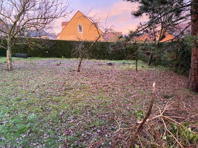 Champigny sur Marne Vente Terrain 94