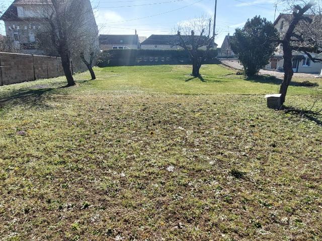Champigny Vente Terrain 89