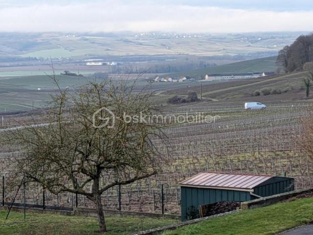 Champillon Vente Terrain 51