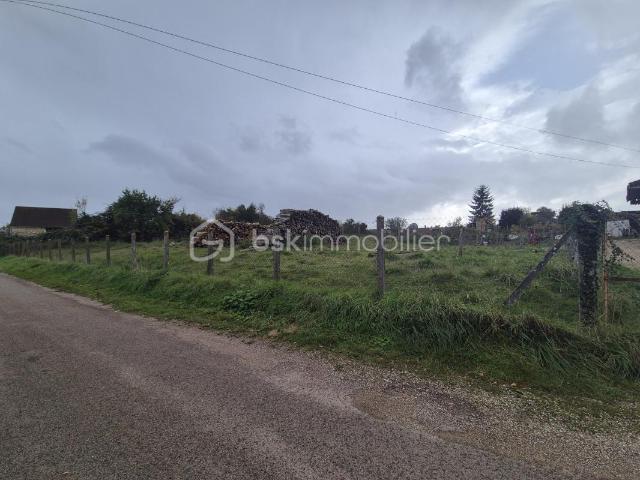 Champlost Vente Terrain 89