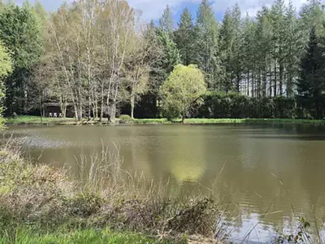 Champs Romain 24470 Achat / Vente terrain