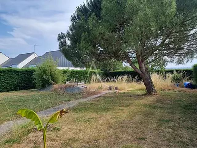 Champtocé sur Loire 49123 Achat / Vente terrain