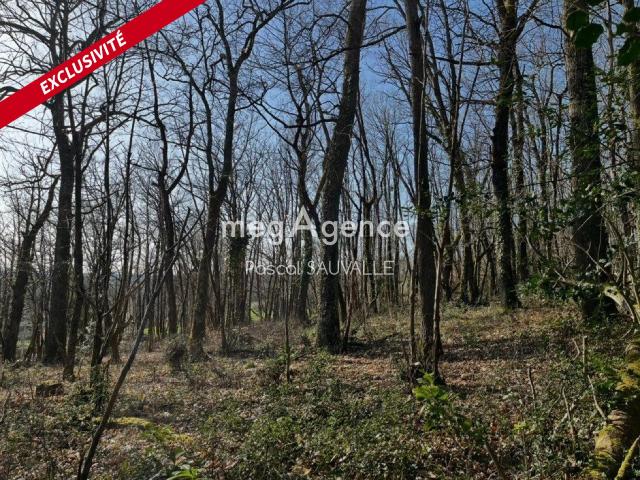 Chancelade Vente Terrain 24