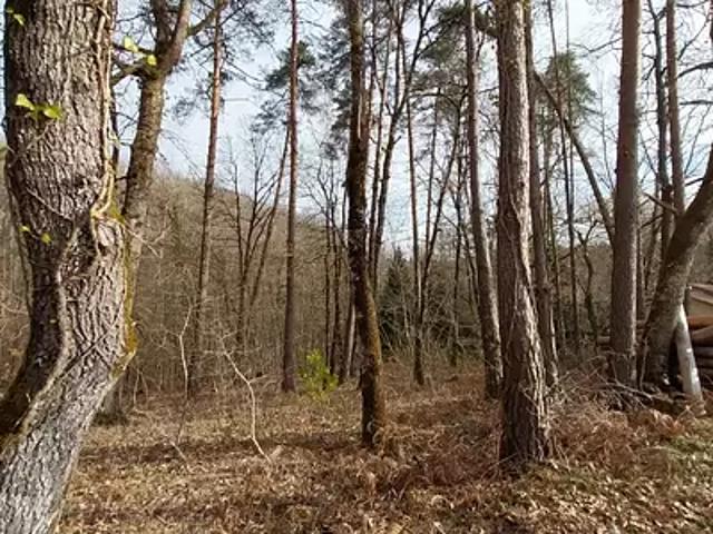 Chancelade 24650 Achat / Vente terrain
