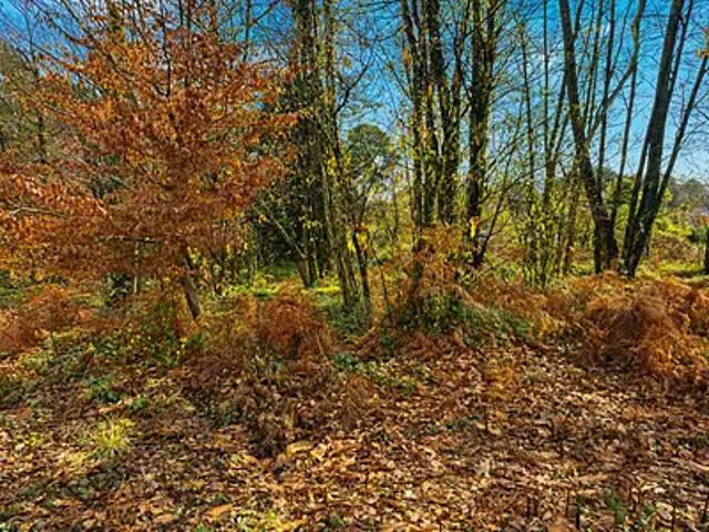 Chancelade 24650 Programme neuf terrain neuf à vendre