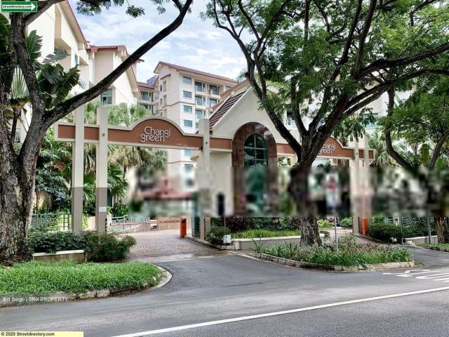 Changi Green D16, Condominium