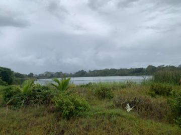 Changuinola | Vendo en Changuinola 42Hcs Frente al Mar con Playa
