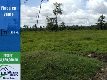 Changuinola | ID # F 0101 Finca en Venta para Ganadería, Agrícola y Reforestación