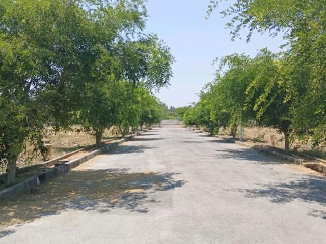 Chandapura, South Bangalore 1200 Sq.Ft. Plot in Chandapura Bangalore Listing ID: #10264