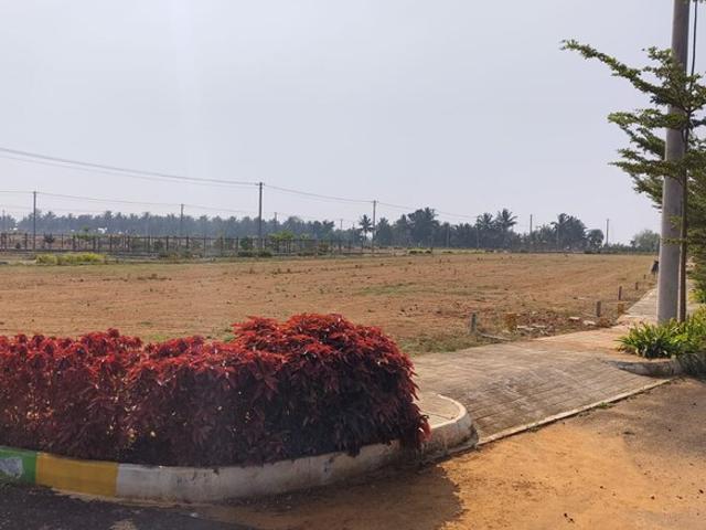 Channarayapatna, Hassan City 1500 Sq.Ft. Plot in Channarayapatna Hassan Listing ID: #10364