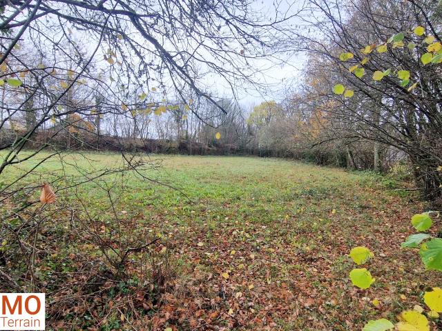 Chapdes Beaufort Vente Terrain 63