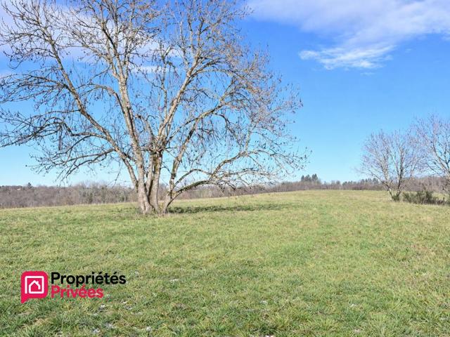 Chapdes Beaufort Vente Terrain 63