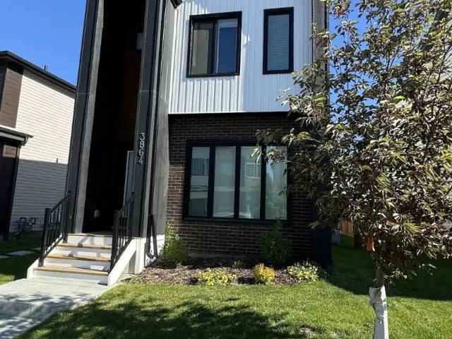 Chappelle 1 Bed 1 Bath BSMT Suite SW Edmonton
