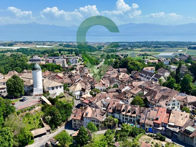 Charakterbasiertes Stadtgebäude mit 3 separaten Wohnhäusern
