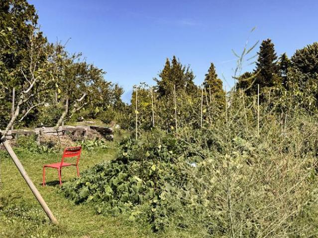 Charakteristisches Haus mit drei Wohnungen, einem aussergewöhnlichen Garten und atemberaubender Aussicht