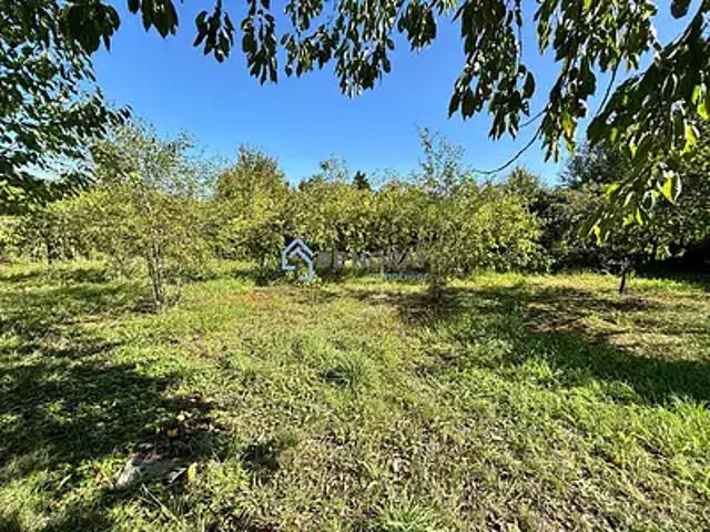 Chargé 37530 Achat / Vente terrain