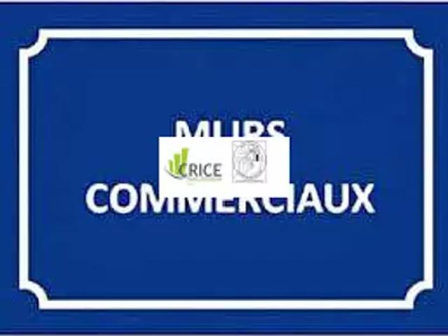Charente Maritime 17 Achat / Vente divers