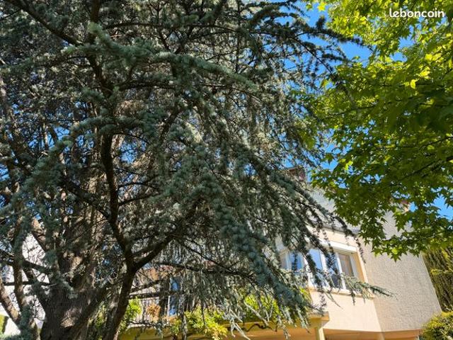 CHARLEVILLE, QUARTIER LE THEUX Spacieuse maison individuelle de 226 m² habitable sur sous sol complet