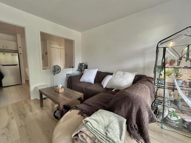 Charles Poiré Appartement 3 ½ à Louer Lévis Septembre 2026