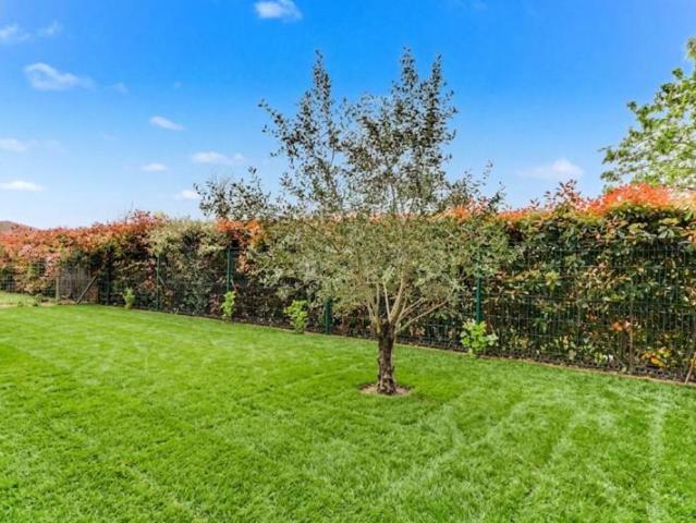 Charmant T2 avec jardin privatif de 100m2