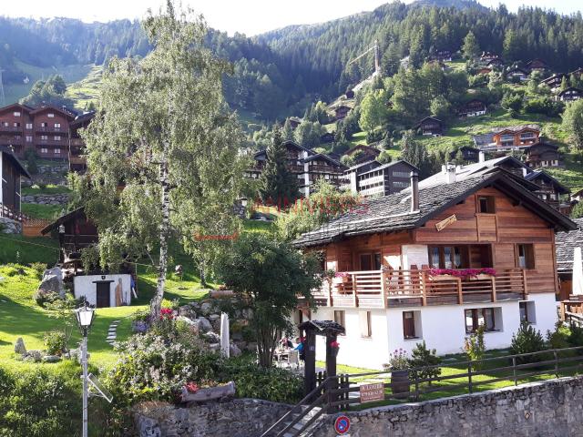 Charmant appartement de 3.5 pièces au cœur de la station de Grimentz | dreamo. Ch