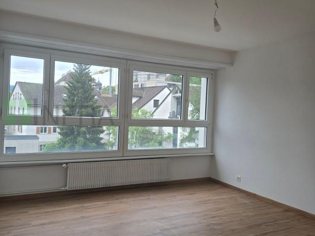 Charmant appartement rénové de 2 pièces | dreamo. Ch