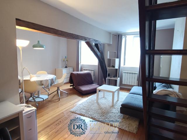 CHARMANT DUPLEX A LOUER ORLEANS