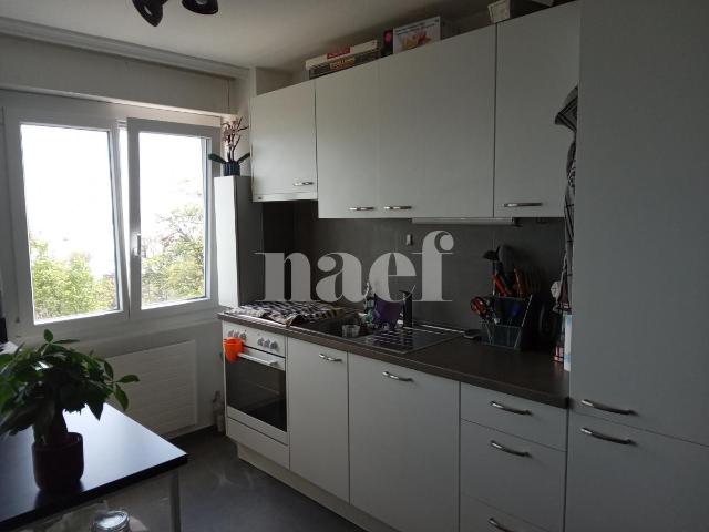 Charmant logement avec vue sur le lac