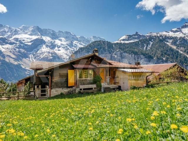 Charmante 3 Zimmer Ferienwohnung mit Panoramaausblick in Gimmelwald bei Mürren
