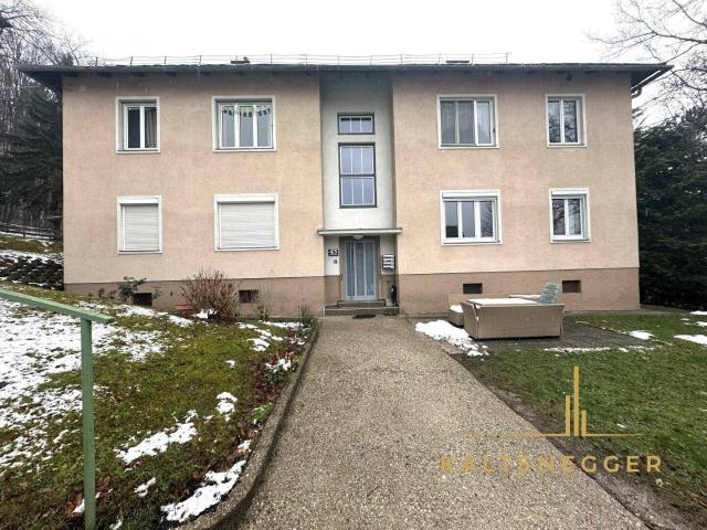 Charmante 3 Zimmer Wohnung in Pressbaum mit Gemeinschaftsgarten