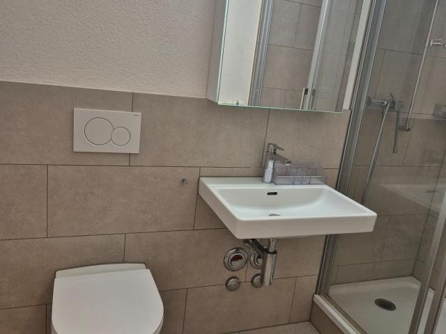 Charmante 1 Zimmerwohnung im Herzen von Zofinge | dreamo. Ch