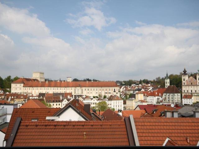 Charmante 2,5 Zimmer Dachgeschoßwohnung in zentraler Lage, Miete 4400 Steyr