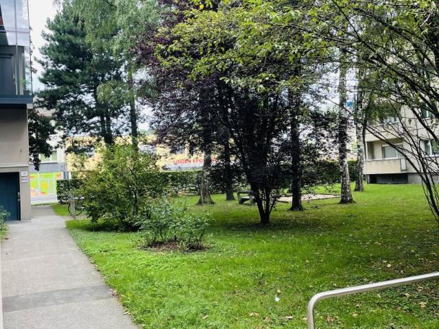 charmante 2 zimmer wohnung in linz keferfeld – wohnung wird im februar 2026 generalsaniert loggia & garage vorhanden ab 01.03.2026 zu beziehen!