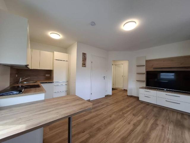 CHARMANTE 2 RAUMWOHNUNG MIT KÜCHE