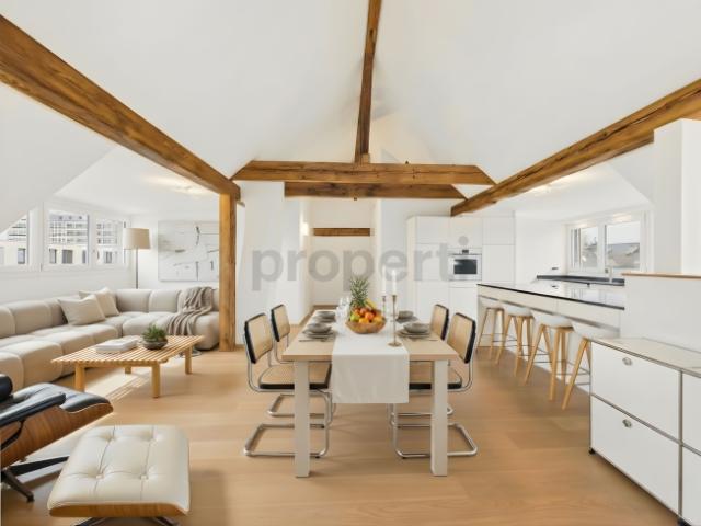 Charmante 6.5 Zimmer Attikawohnung mit Balkon, Basel