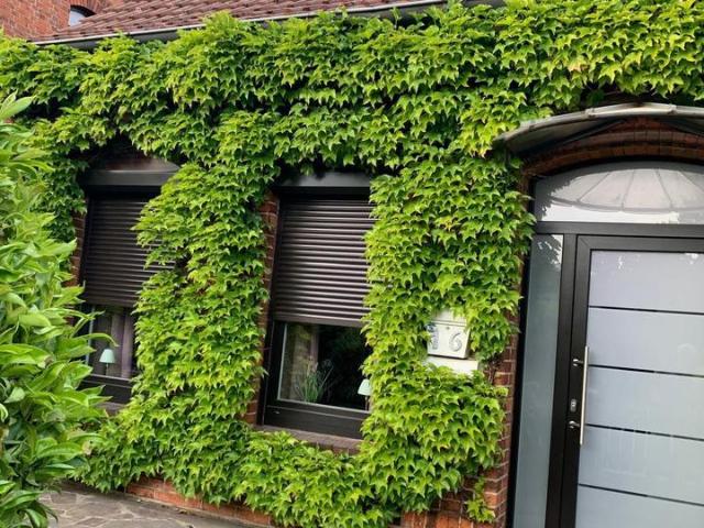 •Charmante Doppelhaushälfte in Bremen gepflegt, Modernisiert