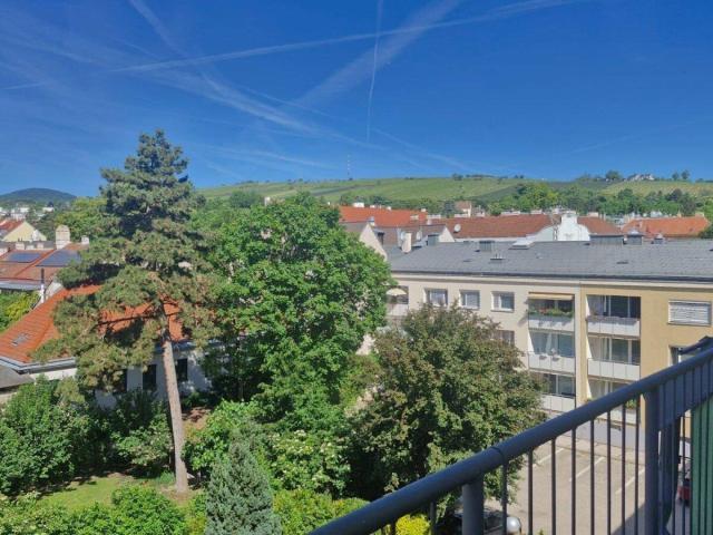 Charmante Eigentumswohnung im 19. Bezirk Wiens mit herrlichem Ausblick über die umliegenden Weinberge!