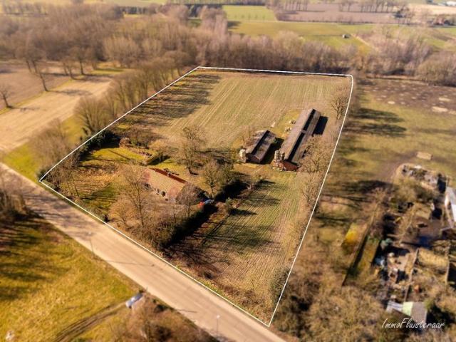 Charmante hoeve met stallen op ca. 2,39 ha te Peer