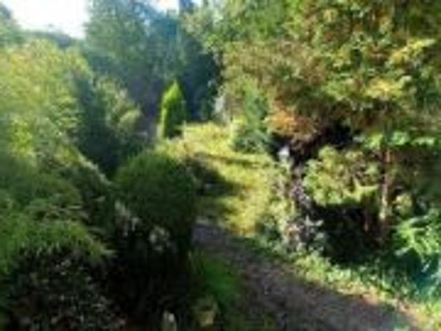 Charmante OB, ruime tuin, toplocatie!