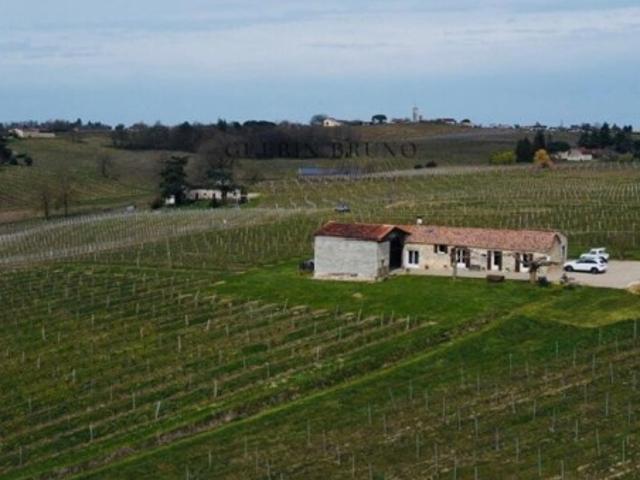 Charmante maison au milieu des vignes